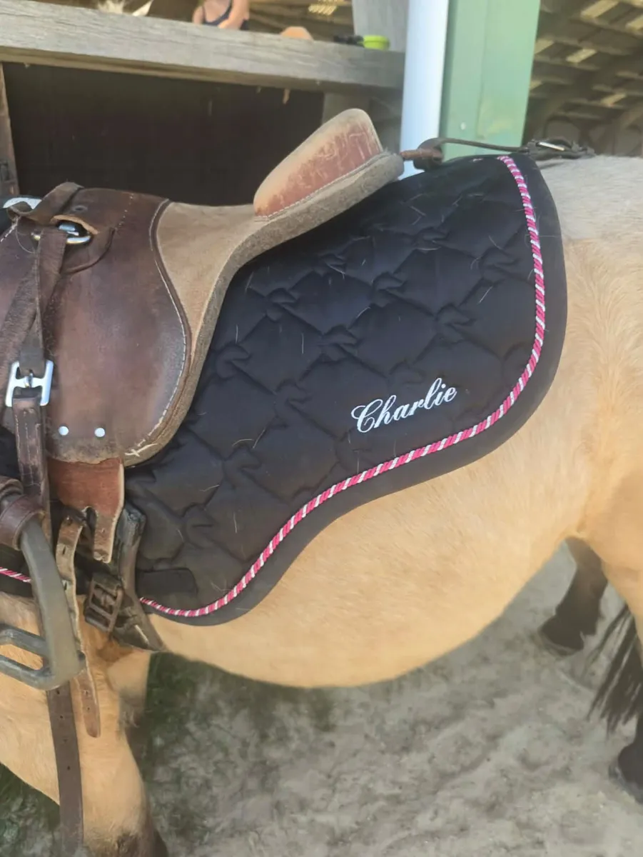 Tapis de Selle Charlie